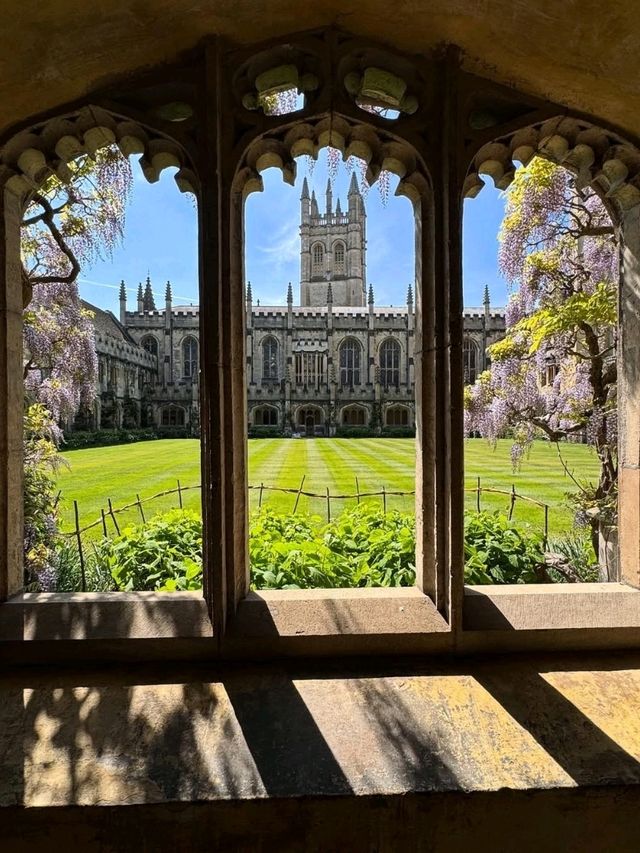 🌸 Wisteria Season in Oxford: A Dreamy Purple Veil over the City of Spires 🇬🇧✨