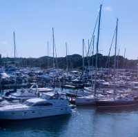 Sea Breezes & City Secrets: Exploring Southampton Like a Local