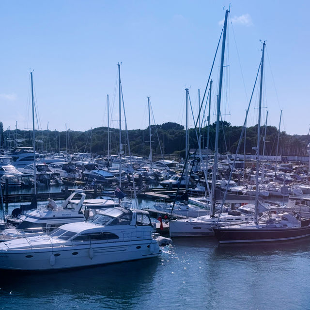 Sea Breezes & City Secrets: Exploring Southampton Like a Local