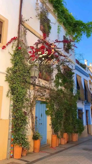 Córdoba: A Timeless Jewel of Moorish Spain