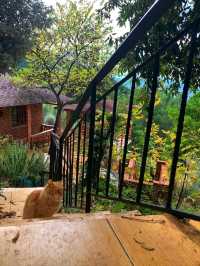 Dajti Mountain National Park, Tirana — Nature Escape Above the Capital