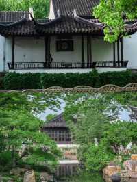A Stroll Through Serenity: Exploring Suzhou’s Humble Administrator’s Garden
