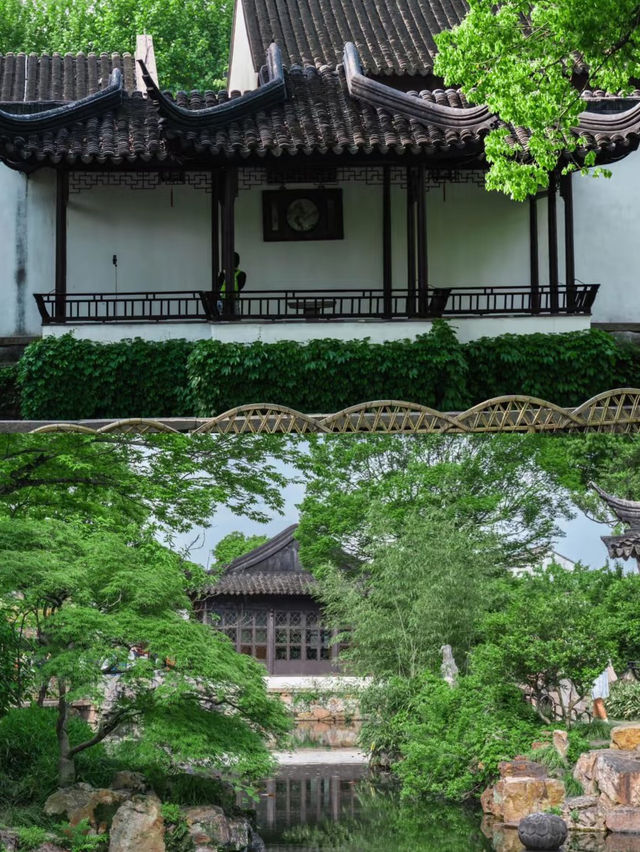 A Stroll Through Serenity: Exploring Suzhou’s Humble Administrator’s Garden
