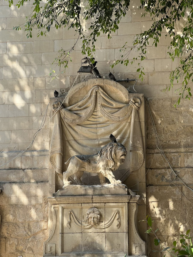 🇲🇹 馬爾他瓦萊塔（Valletta） 💗
