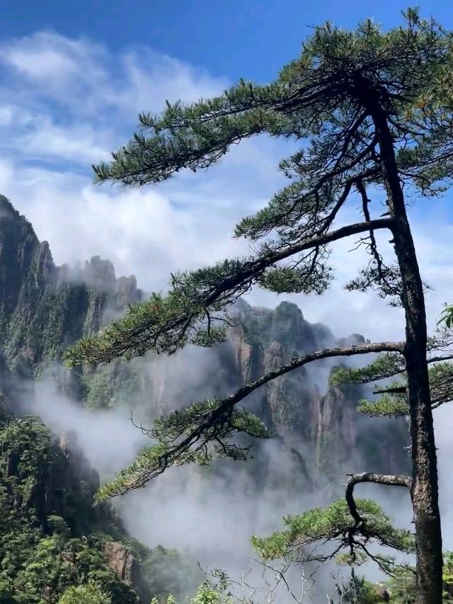 ⛰️ Huangshan – The Legendary Yellow Mountain of Mist and Pines