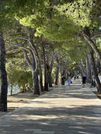The Blue Horn Viewpoint in Bol: Dining With a Mediterranean Dream View