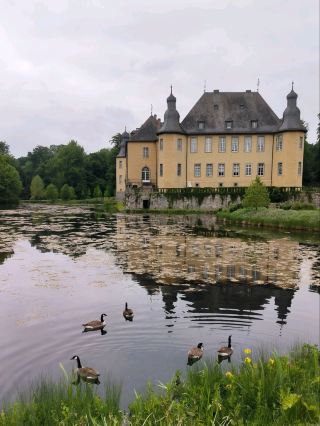 🏰 Отголоски истории в замке Дейк 🕰️🌿