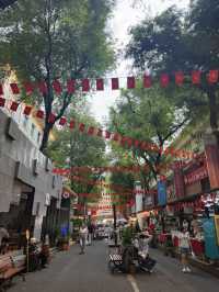 🇻🇳✨ Vietnam Adventures – A Journey Through History, Culture & Nature ✨🇻🇳