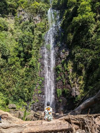 Larapinta Falls - quite a challenging hike with the finish that's worth it!