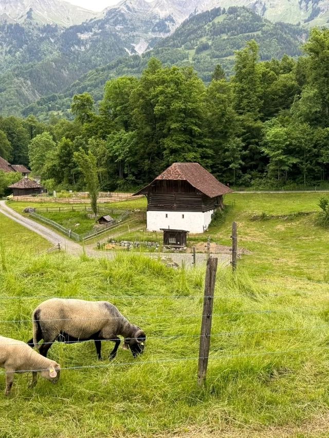 🏔🇨🇭 Must-Visit Mountain Places in Switzerland