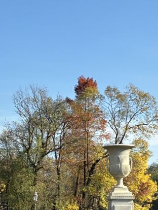 อัญมณีภาพถ่ายปาร์มา📷