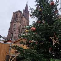 Cathédrale Notre Dame de Strasbourg