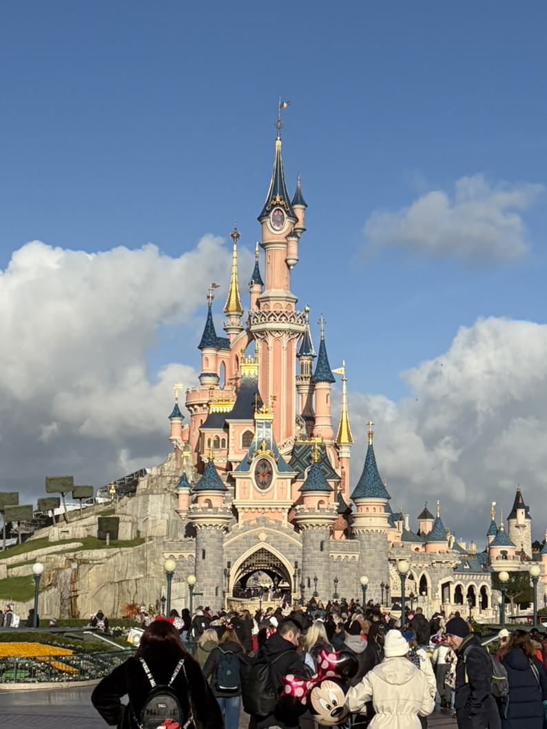 ✨輝くエッフェル塔からディズニーランドまで、ときめきたっぷり