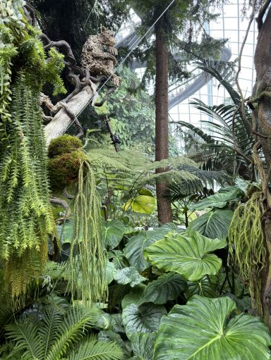 花咲くシンガポール。 | Trip.com シンガポール