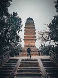 Amazing Pagoda Forest in Shaolin Temple 