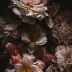 Aspen_Winterbourne_25