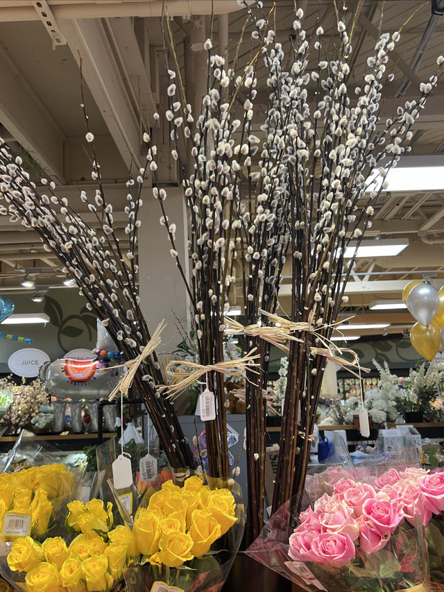 Facing the sea, spring blossoms.