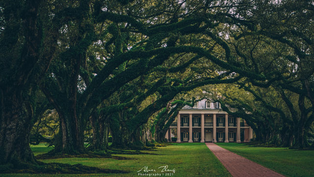 Travel Memories | Chance Encounter at the Oak Alley Plantation in New Orleans