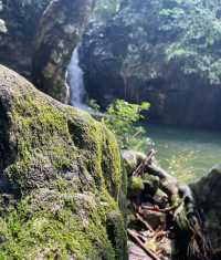 Explore the tropical rainforest around Qinzhou on foot and feel the sunshine.