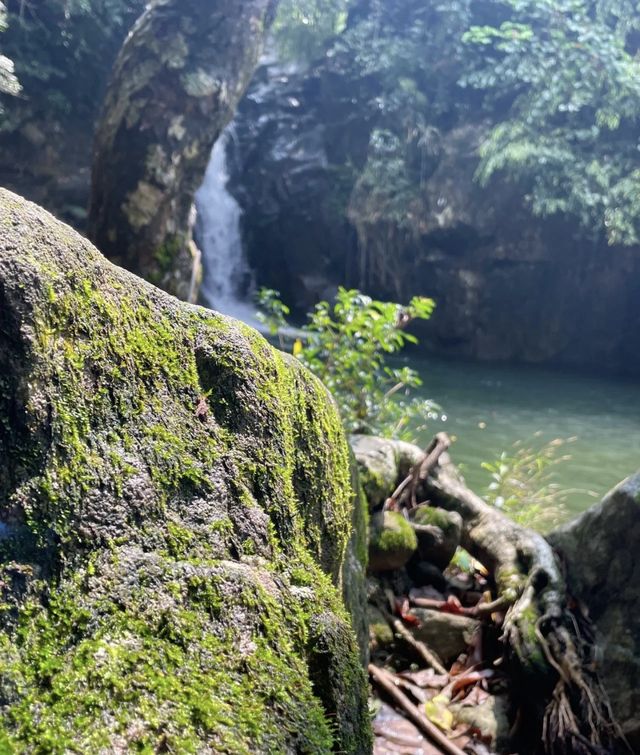 Explore the tropical rainforest around Qinzhou on foot and feel the sunshine.