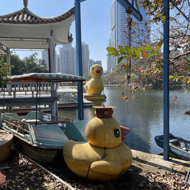  A stunning park in the heart of Shenzhen