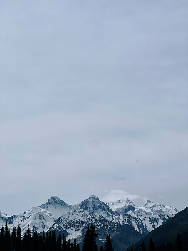 不要錯過夏天的夏塔，那是通往雪山的階梯