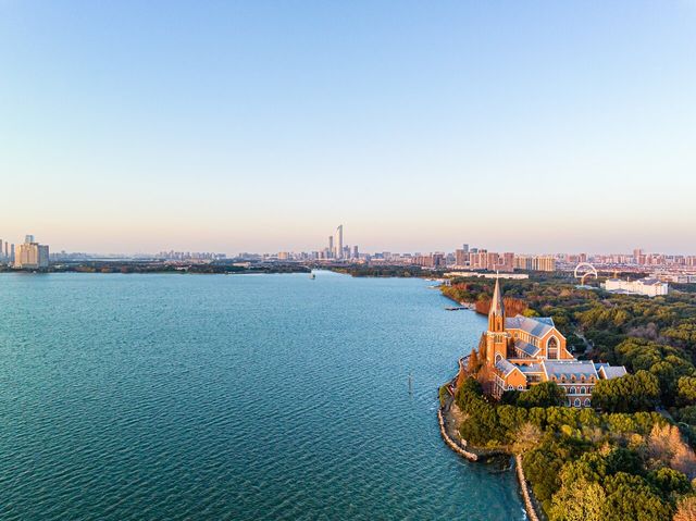 到獨墅湖公園一睹紅杉在冬日裡最後也是最倔強的“火紅”盛景