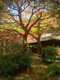 京都圓山公園 日式風格園林