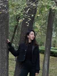 秋冬版City walk｜來太原森林公園踩樹葉啦！