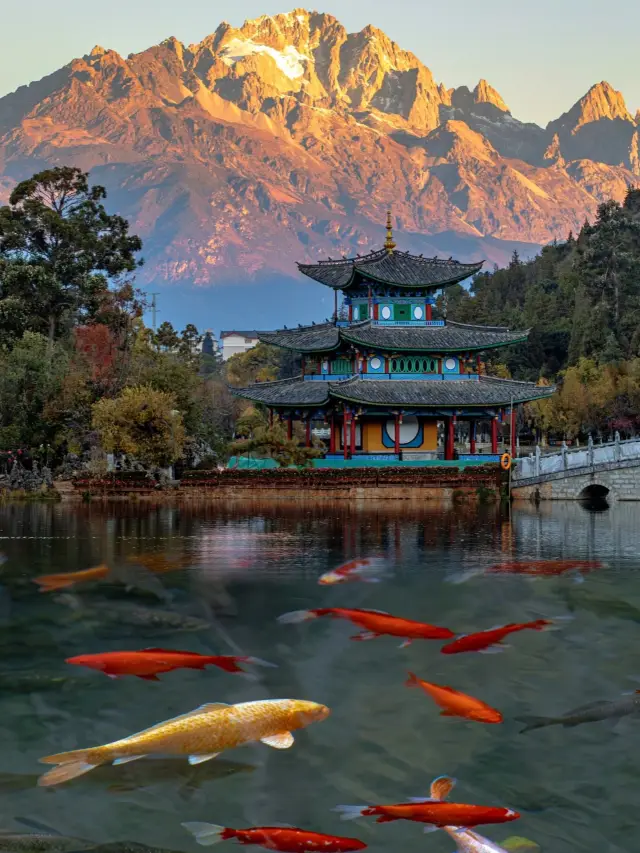 Not visiting the Black Dragon Pool when you're in Lijiang is a huge loss!!