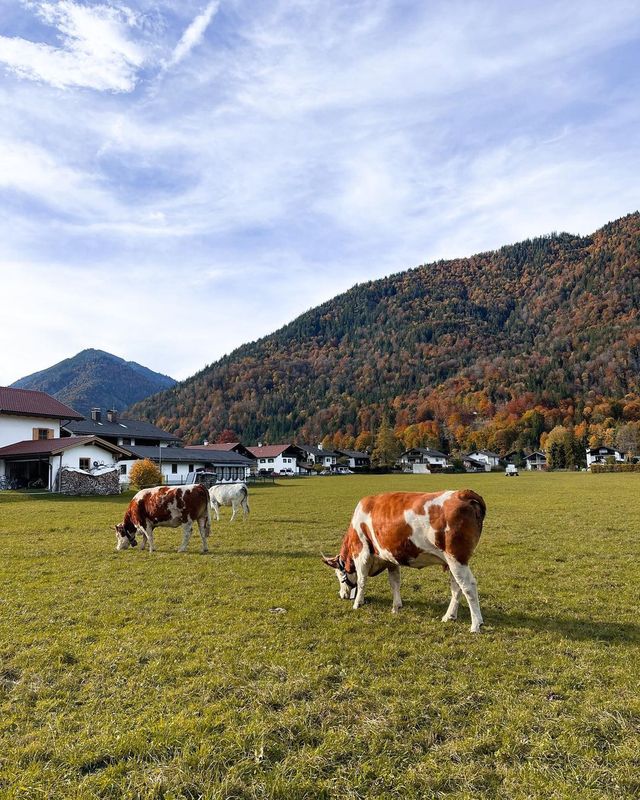 🌄 Explore Bavaria: Germany's Enchanting Alpine Gem 🇩🇪🏔️