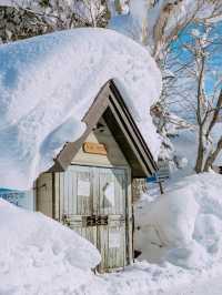 ‼️北海道に5回行った後、夜更かししてまとめた攻略