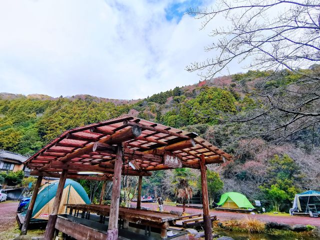 日本露營｜伊豆嵌在景區裡的露營場也太贊了吧
