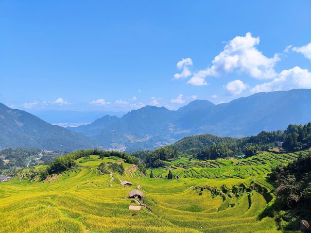 “踏上雲端的梯田之旅——揭秘中國最美的雲和梯田”