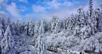 瓦屋山再次迎來雪季，你絕對不能錯過這次的美景