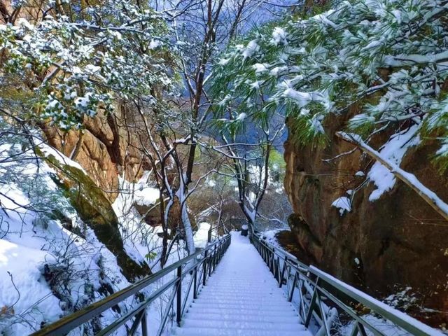 沒有看過雞峰山落雪景色，怎能算是完美的冬天呢