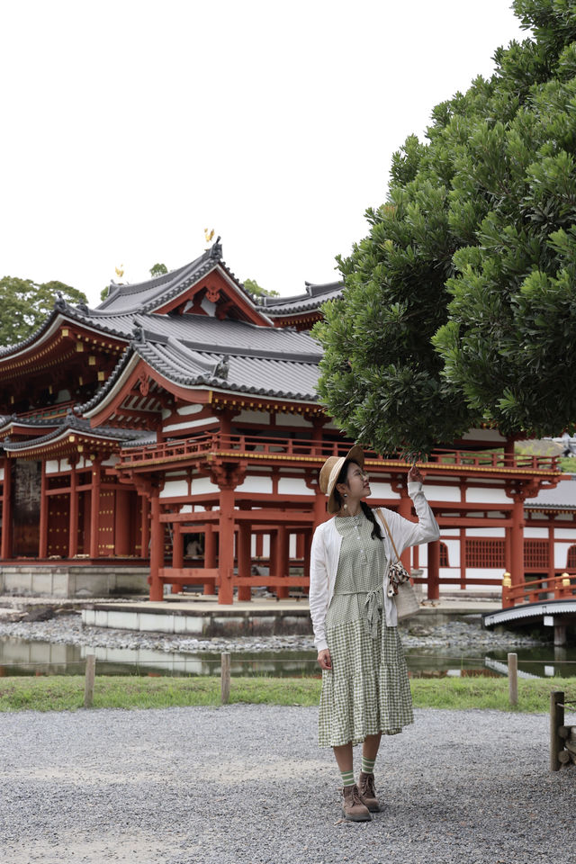 宇治平等院｜打卡日幣10元硬幣背面景點🪙全攻略