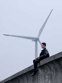 上海拍照悲傷逆流成河同款取景地出片率絕