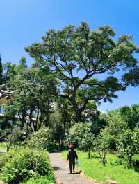 【大理古城】季羡林題匾 藏在古城裡的後花園