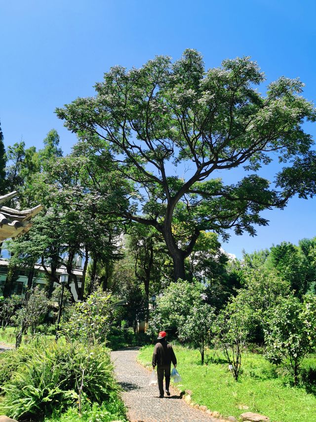 【大理古城】季羡林題匾 藏在古城裡的後花園