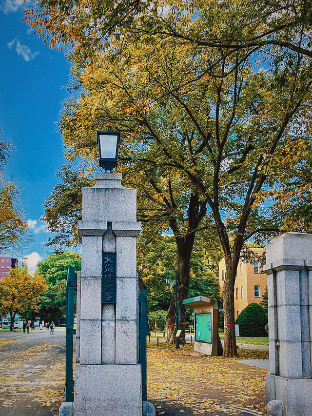 秋色有多美？來北海道大學看場色彩斑斕大戲吧！