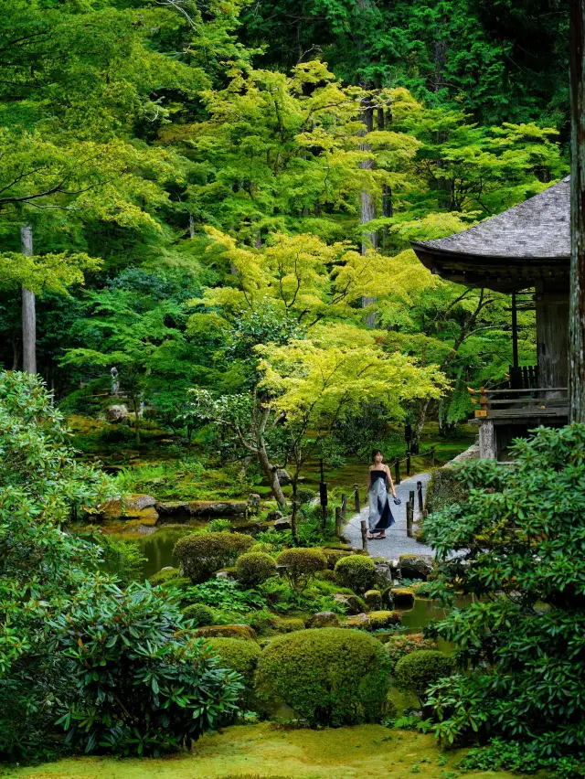 日本｜京都旅居15天後發現必去的小眾寺廟