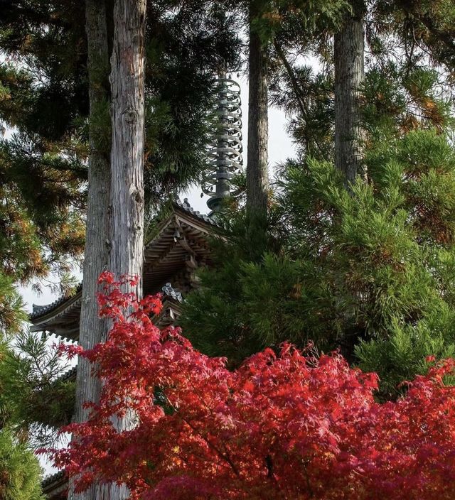 西安青龍寺