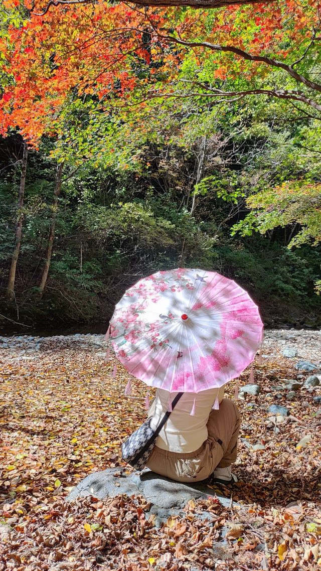 十一遊本溪-第一站關門山國家森林公園