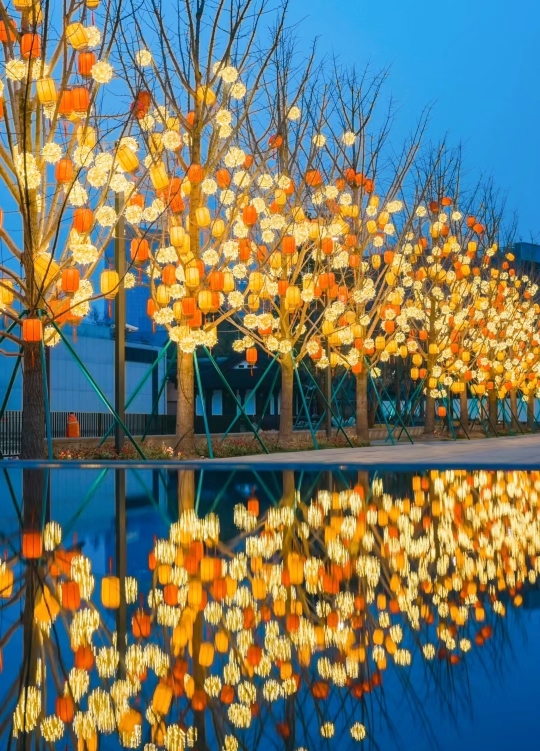 竜華寺のおすすめ観光スポット2026年（1月更新）| Trip Moments