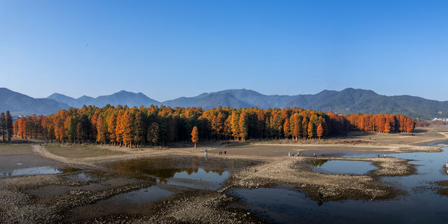 四明湖晨曦