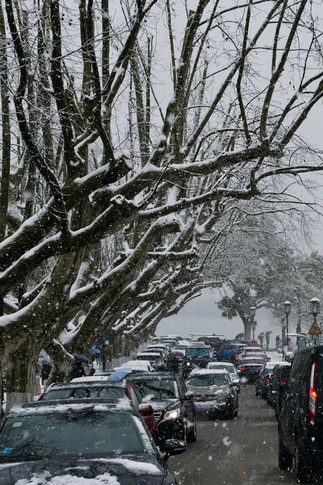 屬於西湖的浪漫童話，杭州下大雪啦