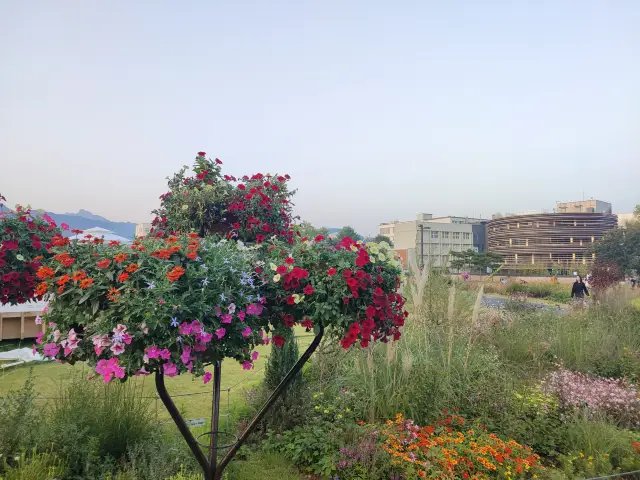 Looking out from the stage, the view is endless, with the Songhyan Green Square open to the public