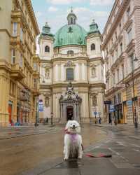 Polar bear in Vienna, Austria 🇦🇹😍 Experience the ultimate coolness as we take you on a journey to Vienna,