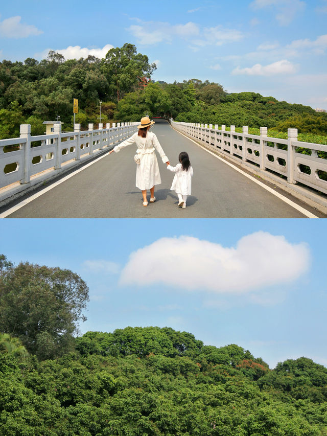 來看廣州版「芳草鮮美 落英繽紛」